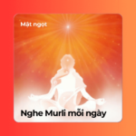Nghe Murli mỗi ngày - Murli VN